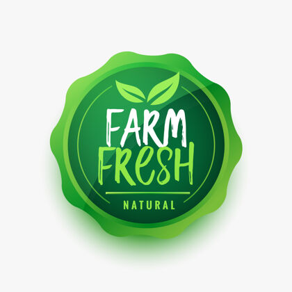 产品农场新鲜绿叶食品标签设计认证蔬菜素食