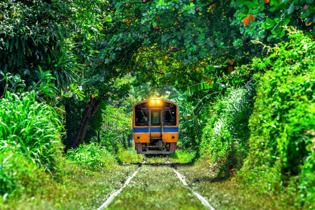 亚洲在泰国曼谷 火车穿过树木隧道跑步古老沿途
