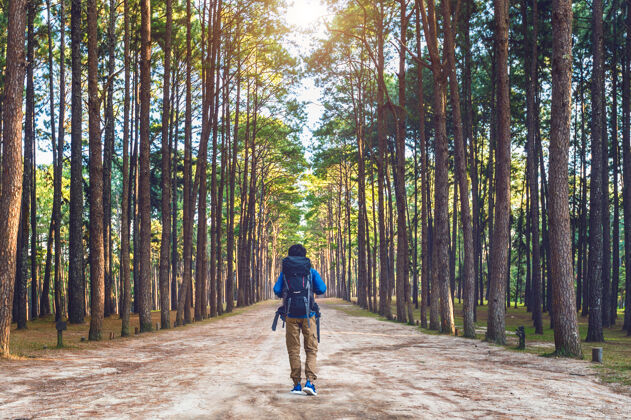 活跃背着背包在森林里徒步旅行的人路徒步旅行步行