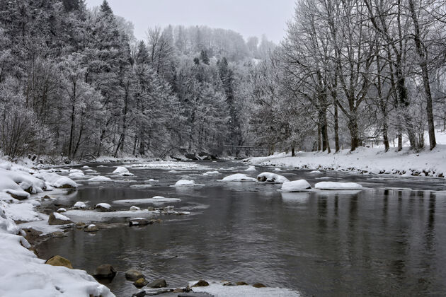 河白天 大雪覆盖了河流和树木雪树冬天