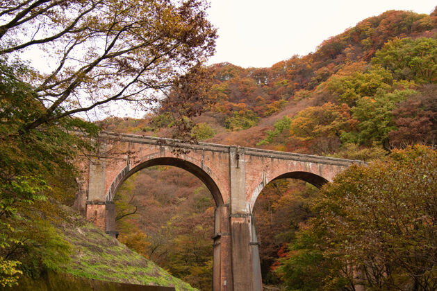 森林桥在日本的安纳卡河上公园天空城市