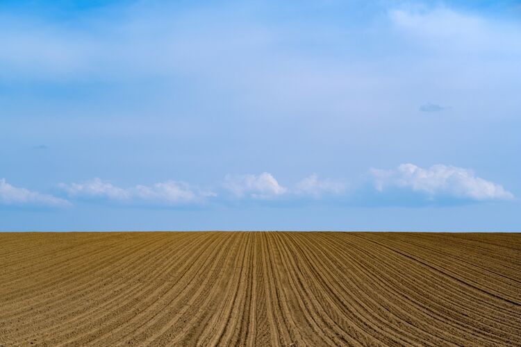 乡村蓝天上一片刚犁过的农田的美丽照片农业划船户外