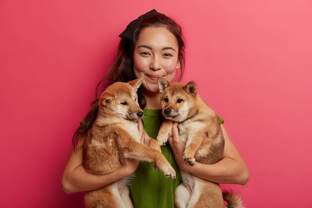 快乐积极可爱的年轻亚洲女性喜欢与两个心爱的石坝犬犬纯种小狗与主人 被带到兽医诊所粉红色背景寒冷模特姿势