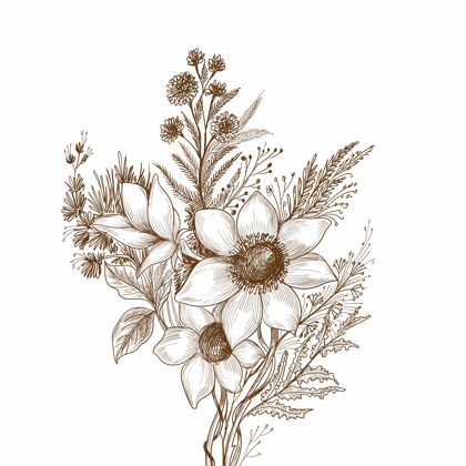 花装饰花卉素描年份植物学装饰