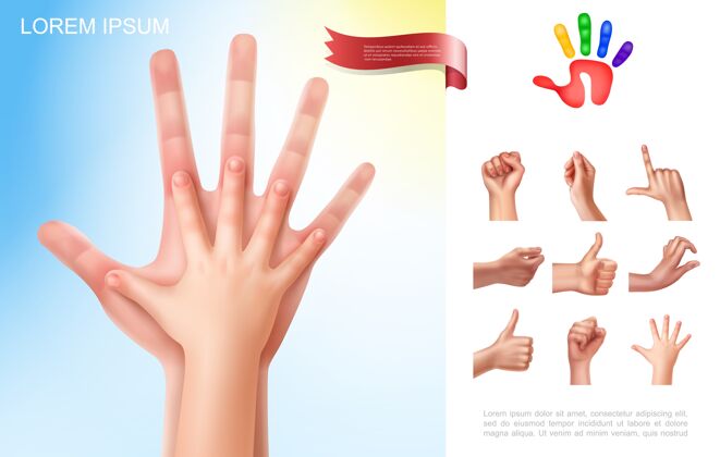 手孩子和父母的手与现实风格的不同女性手势概念风格现实父母