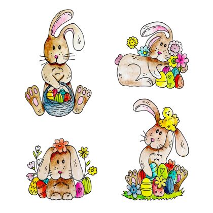 帕斯卡复活节兔子系列水彩画复活节收集兔子