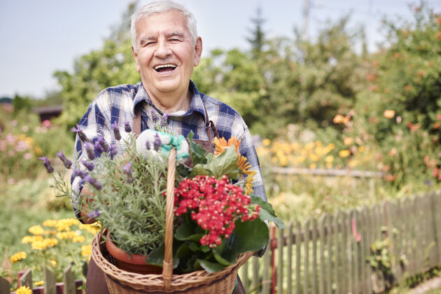 老年人一个拿着水果在地里干活的老人退休生长花园