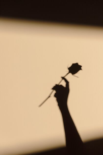 玫瑰手持鲜花的女人的剪影墙朋友植物