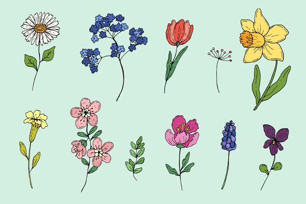设置手绘春花系列植物花卉春天的花