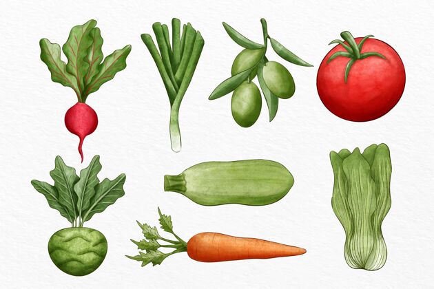 健康收集不同的蔬菜插图食品营养饮食