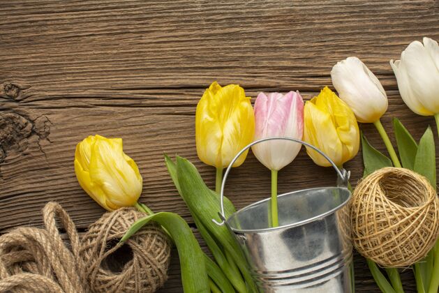郁金香郁金香花与桶和绳子花平躺春天的花