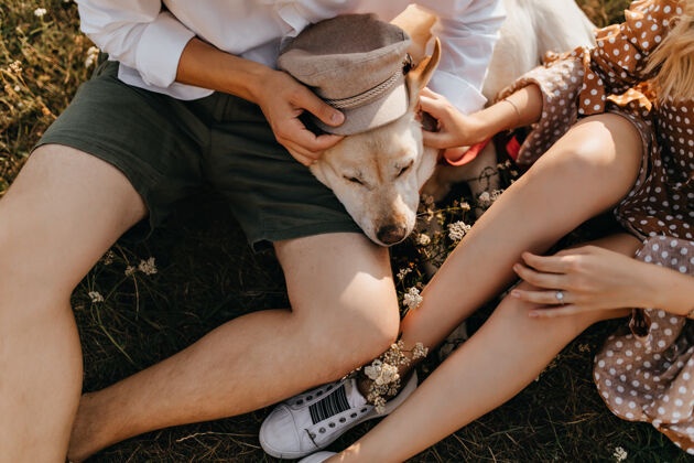 城市穿着夏季服装的男人和女人给拉布拉多猎犬戴上米色帽子的快照夫妇男性朋友