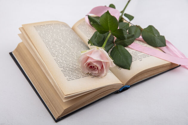 景观在白色背景上 一本书上方是美丽的粉红色玫瑰和叶子的俯视图植物顶部玫瑰