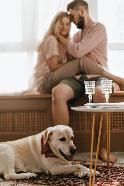 房子白色拉布拉多犬围着围巾躺在主人的背景下一对恋人坐在窗台上欢呼公寓年轻