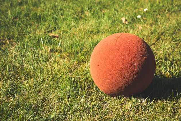 乡村在一个阳光明媚的日子里拍摄的一个红色小球在地上的景象农业乡村农业