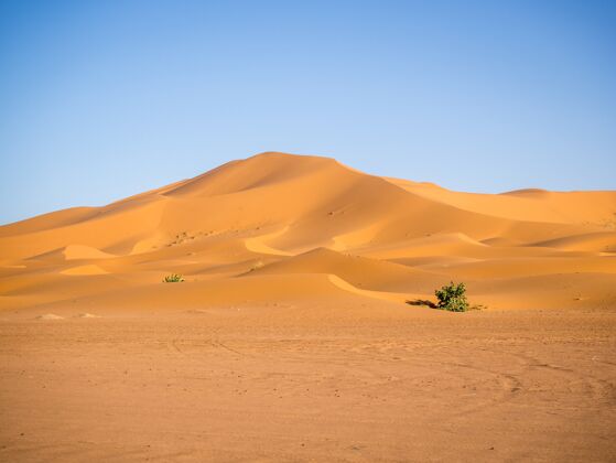 风景阳光下的撒哈拉沙漠和非洲摩洛哥的蓝天干旱炎热炎热