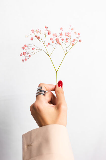 手柔美温柔的照片 女人手上戴着大戒指 红色的指甲 手上拿着可爱的粉色干花开花给予植物