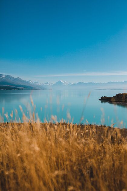 风景新西兰普卡基湖和库克山的垂直拍摄蓝色湖风景