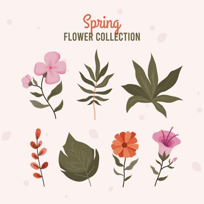 开花平面设计漂亮的春花套装花卉收集包装