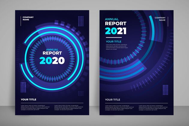 数据几何年报20202021报告概念