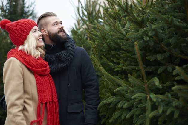 金发夫妻俩选了一棵完美的圣诞树帽子腰向上情侣