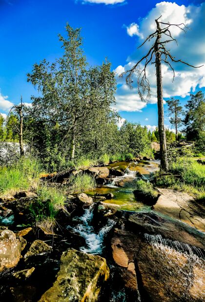 国家垂直的水流在岩石中间流动 在瑞典被大自然包围贝蒂欧洲北方