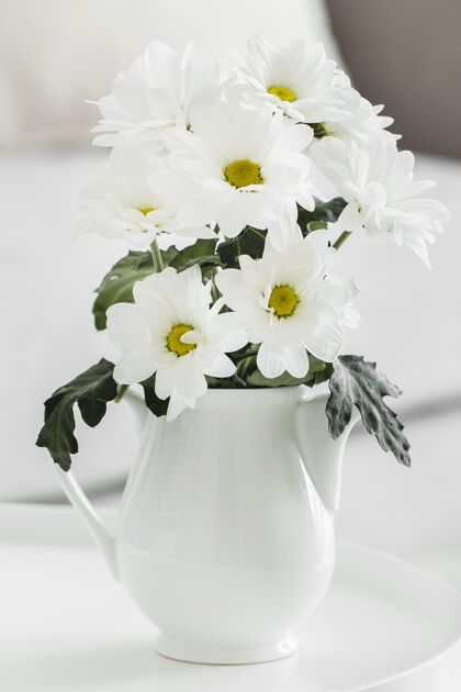 蔬菜花瓶里有一束白花自然花花