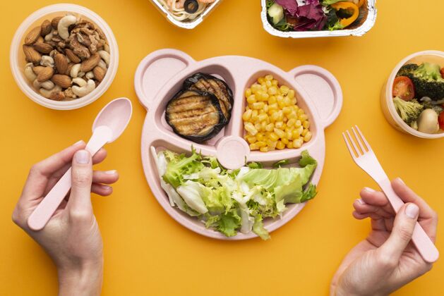 健康分批用餐的俯视图安排饮食美味分类