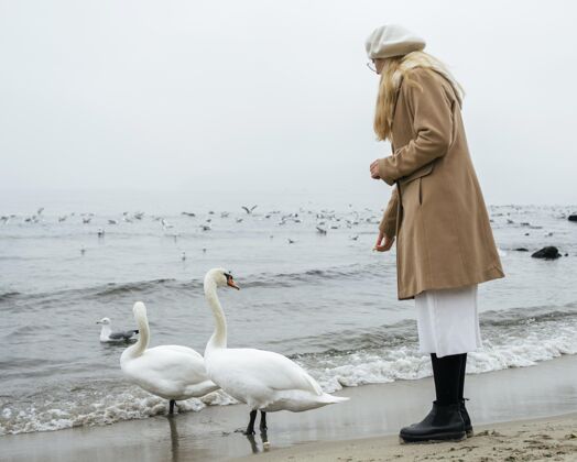 业余爱好冬天海滩上女人和天鹅的侧视图生活方式女人休闲