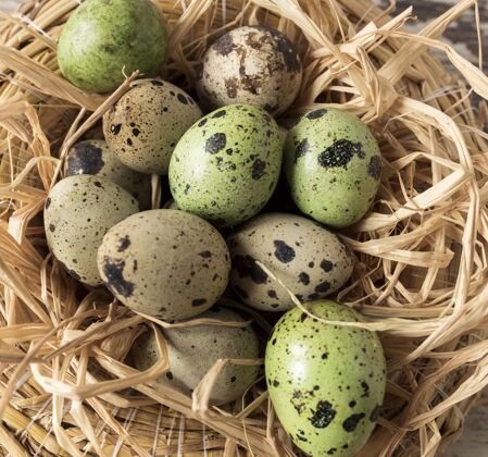 庆祝干草和复活节鹌鹑蛋装饰文化复活节彩蛋