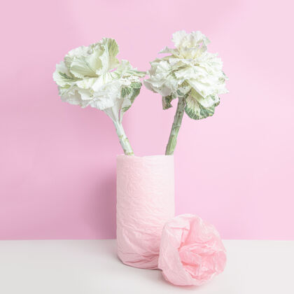 蔬菜花瓶里的装饰性卷心菜 用粉红色的纸包在粉红色的墙上有机开花视频