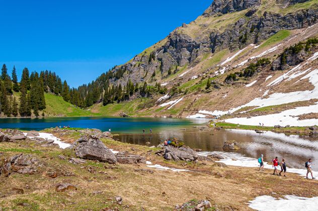 风景群山和树木环绕着瑞士的laclioson湖风景乡村高山
