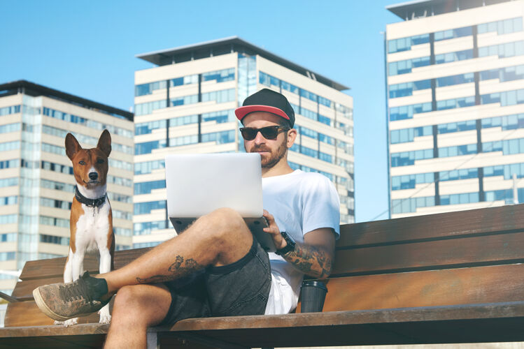 学生可爱的棕色和白色的狗坐在它的主人旁边在一个城市公园的笔记本电脑上工作电脑宠物人