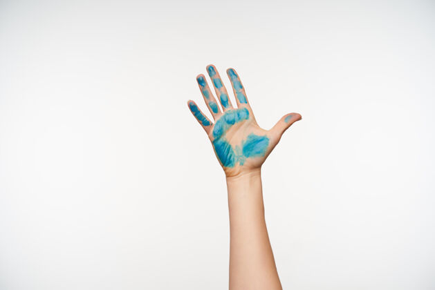 染色皮肤白皙的漂亮女人的手的剪短肖像 上面画着蓝色的手掌 站在白色的上面人类的手和标志的概念站立手势抬起