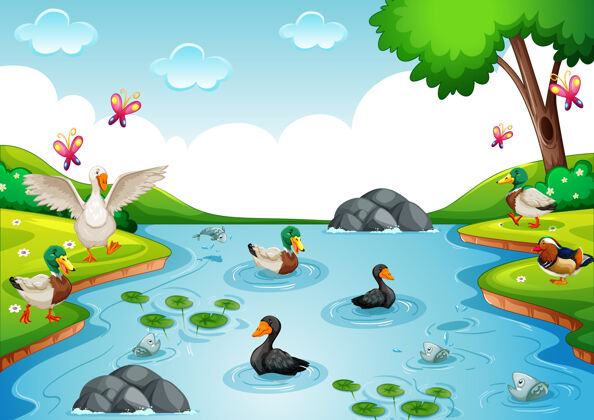 鸟家禽群在河里自然风光天鹅系列场景
