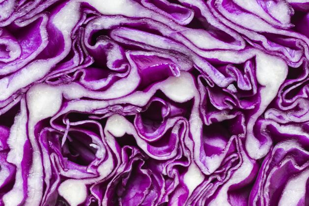 蔬菜紫色卷心菜特写镜头外部平坦顶部