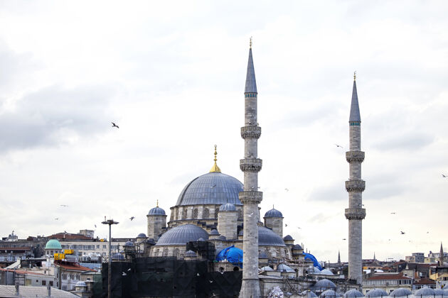 寺庙土耳其伊斯坦布尔新清真寺 多云天气 周围有居民楼和飞鸟遗产穹顶著名
