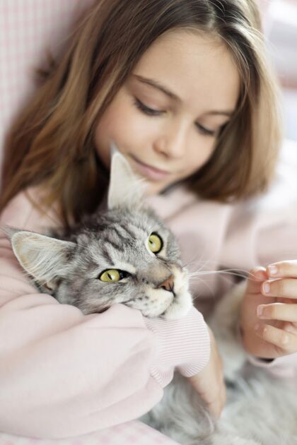 友谊女孩和猫的画像可爱年轻小猫