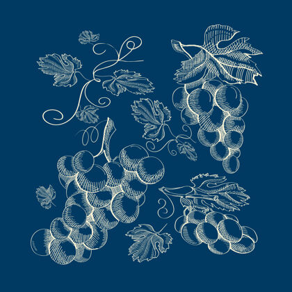 浆果抽象植物复古蓝色插图树枝花卉有机