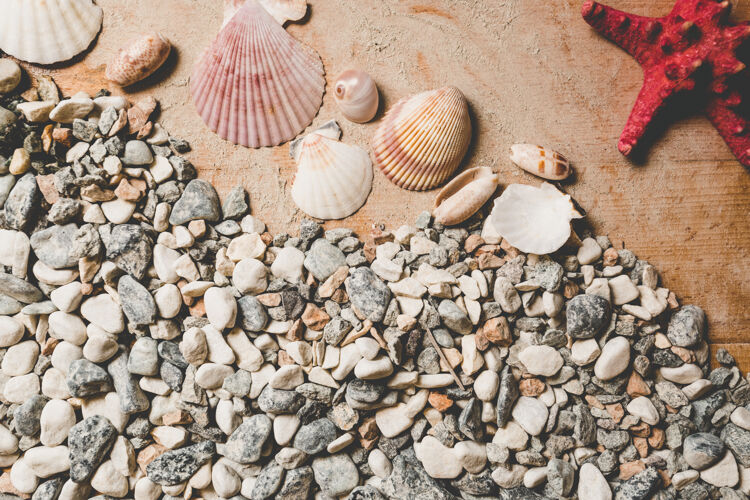 颜色贝壳和卵石的纹理躺在木板上顶部沙子旅行