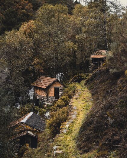 草垂直图像传统的房屋在一个村庄 在一个被树木环绕的山的一边乡村地中海乡村