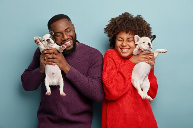 狗快乐的非洲裔美国女士和男人愉快地摆姿势 抱着两个小狗 喜欢和狗在一起 积极地微笑 隔着蓝色的墙家庭 快乐 动物的概念快乐快乐玩耍