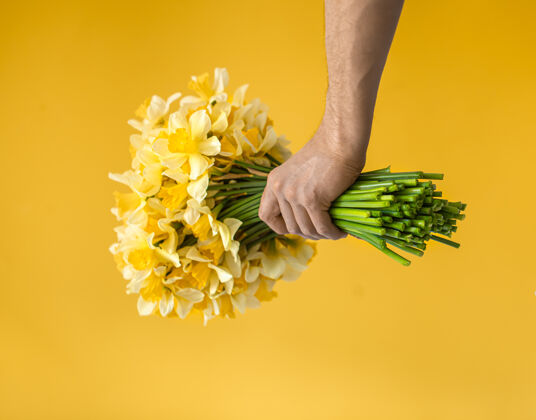 庆祝雄性手上拿着一束黄色的水仙花花束鲜花手
