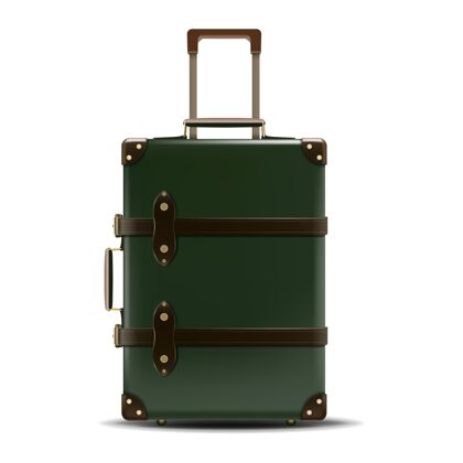 包装旅行商务绿色皮箱隔离在白色背景上复古手提箱把手