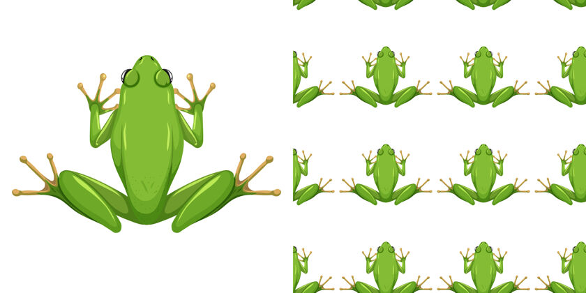 彩色美国绿树蛙隔离在白色背景和无缝系列卡通动物