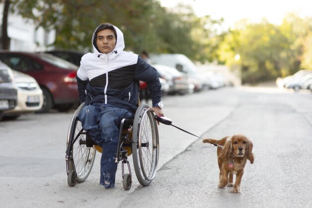轮椅全杆残疾人走狗残疾坐着生活方式