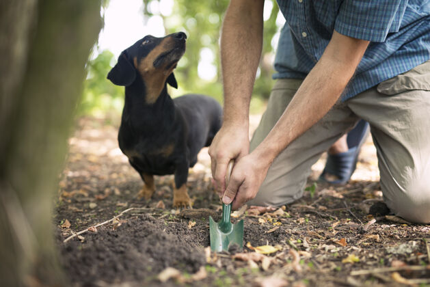 松露松露猎人和他的训练有素的狗在森林里寻找松露蘑菇狗搜索食用