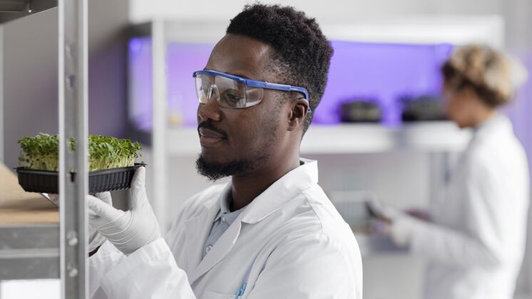 安全眼镜实验室里的男研究员戴着安全眼镜和植物植物雄性技术